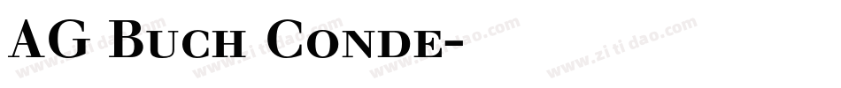 AG Buch Conde字体转换